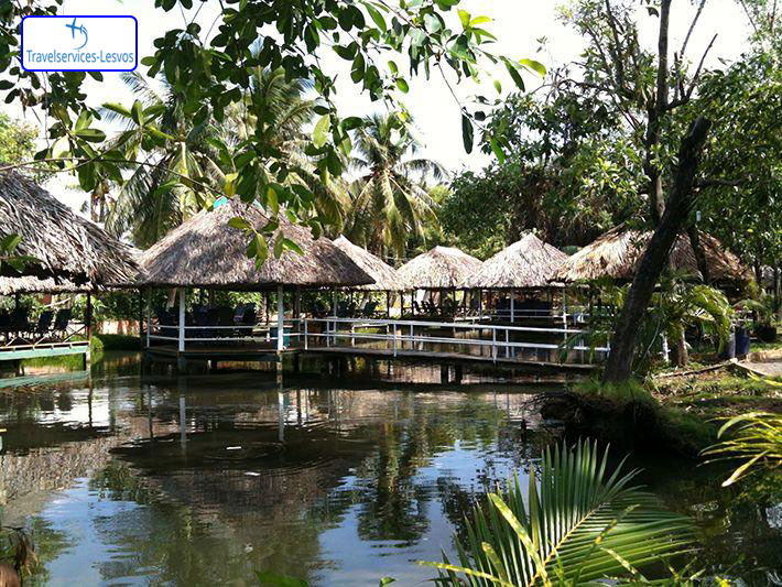 Nơi tổ chức ăn uống, vui chơi câu cá giải trí hấp dẫn